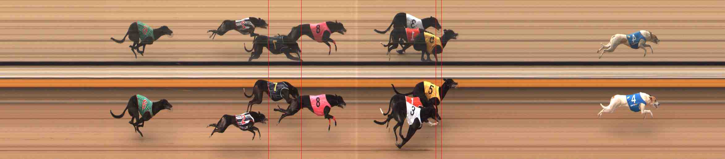 Photo finish for Warrnambool Race 5