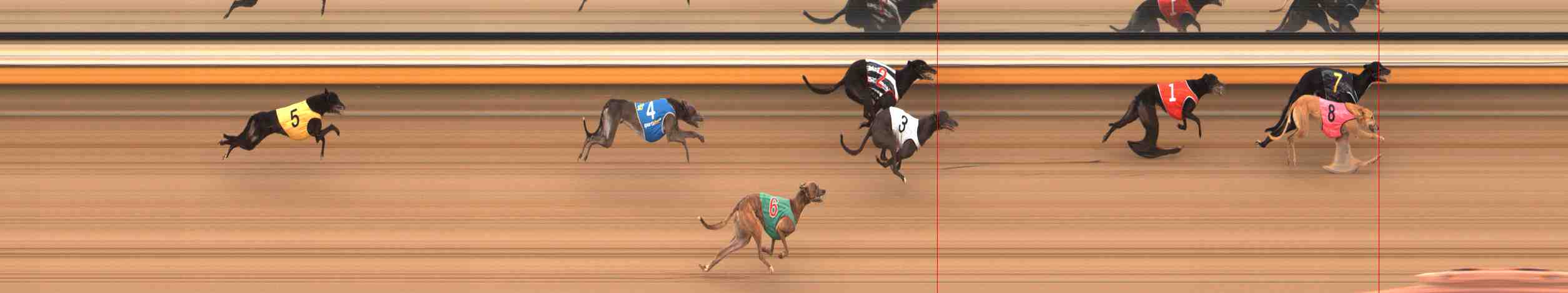 Photo finish for Warrnambool Race 6