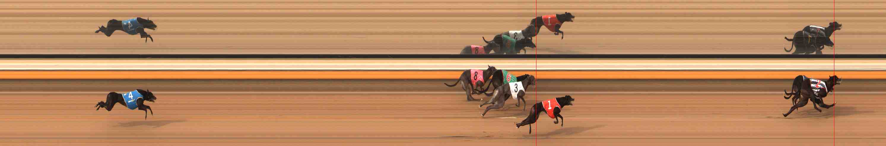 Photo finish for Warrnambool Race 7