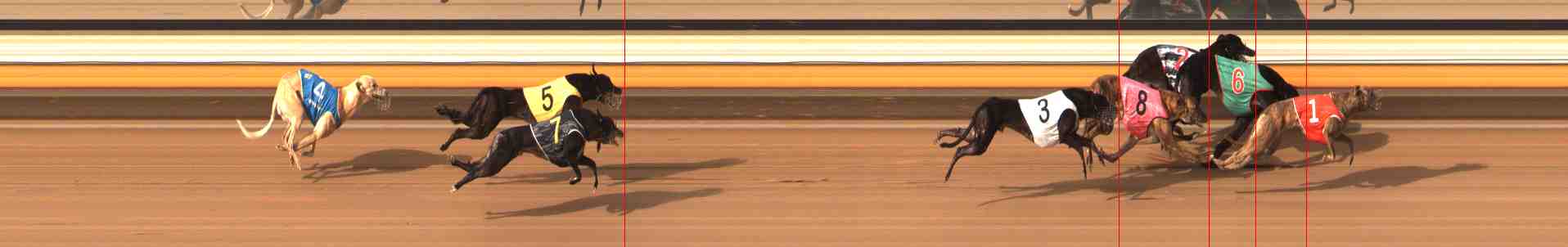 Photo finish for Warrnambool Race 8