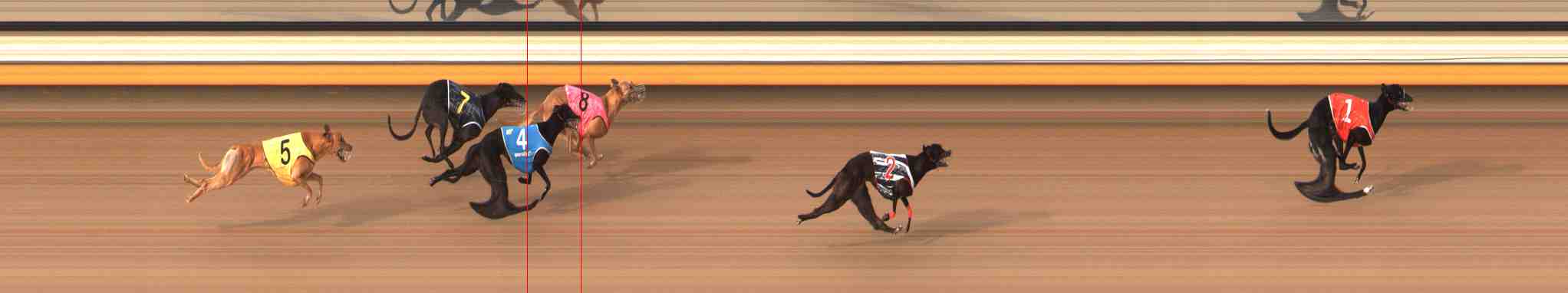 Photo finish for Warrnambool Race 9