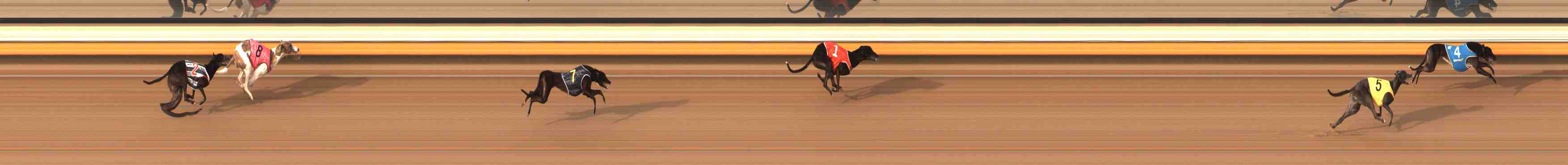 Photo finish for Warrnambool Race 10