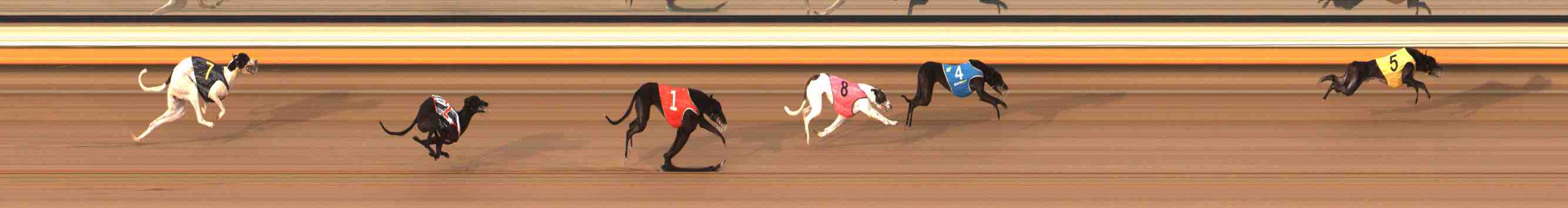 Photo finish for Warrnambool Race 11