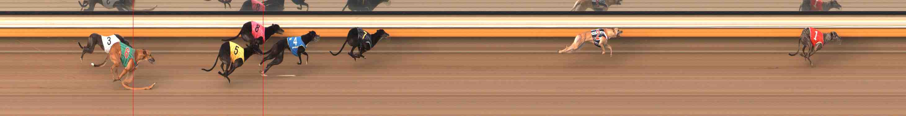 Photo finish for Warrnambool Race 12