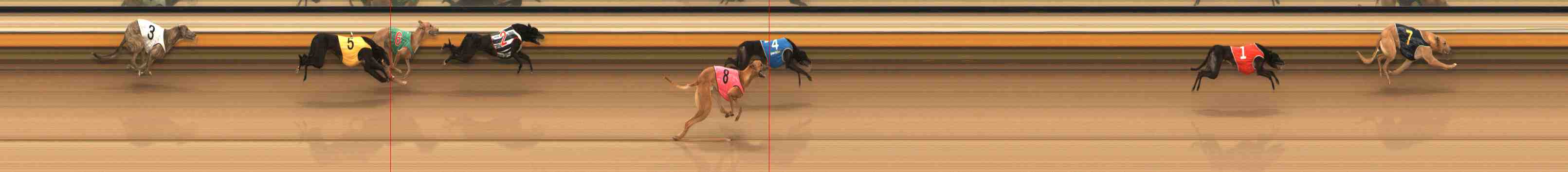 Photo finish for Warrnambool Race 2