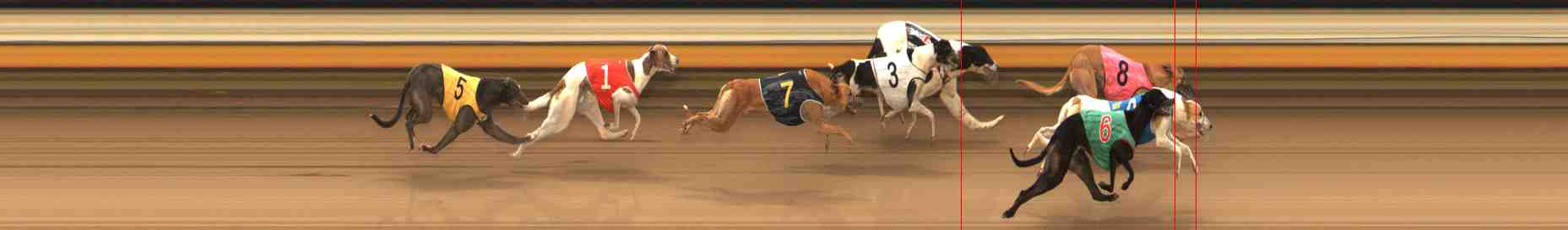 Photo finish for Warrnambool Race 3