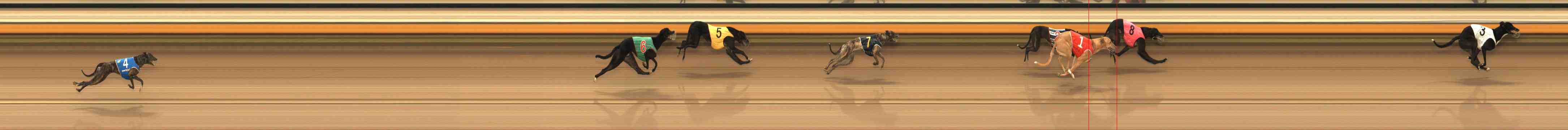 Photo finish for Warrnambool Race 4