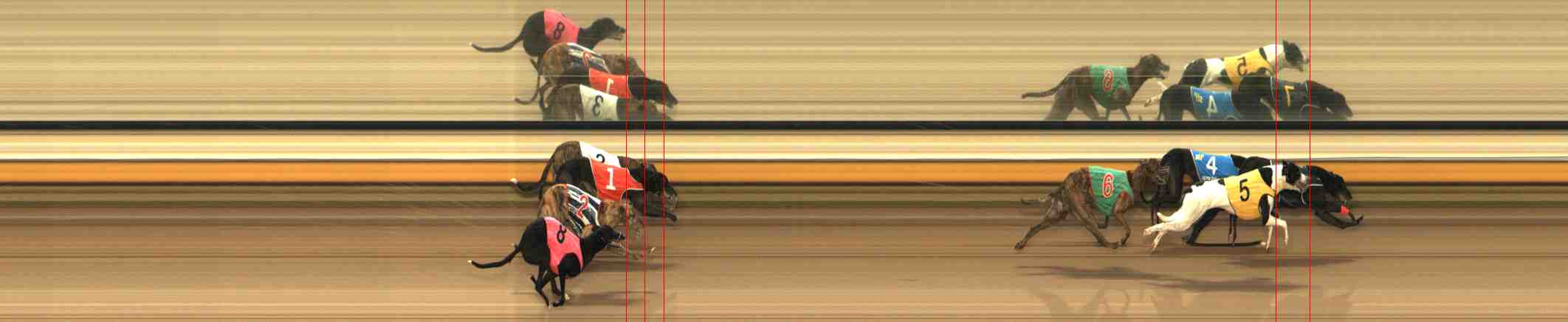Photo finish for Warrnambool Race 5