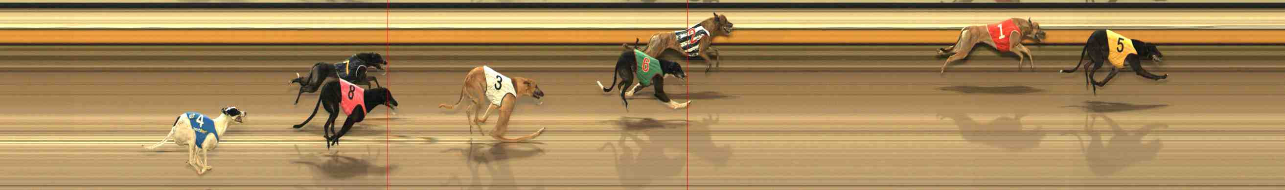 Photo finish for Warrnambool Race 6