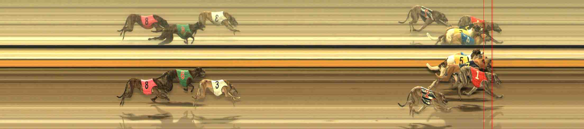 Photo finish for Warrnambool Race 7