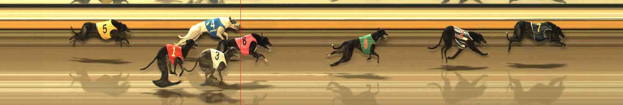 Photo finish for Warrnambool Race 8
