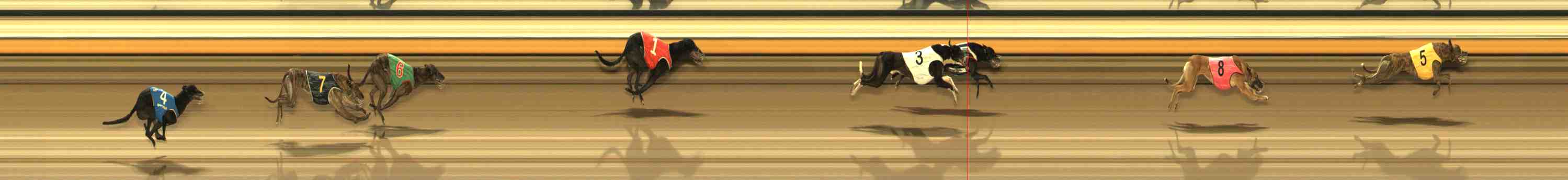 Photo finish for Warrnambool Race 9