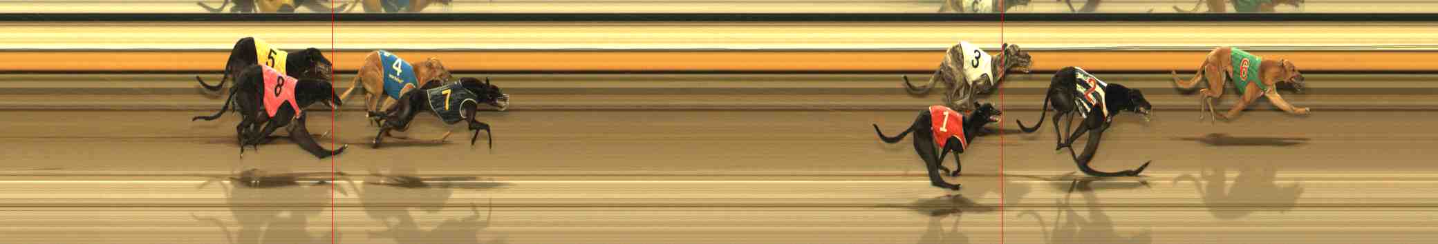 Photo finish for Warrnambool Race 10