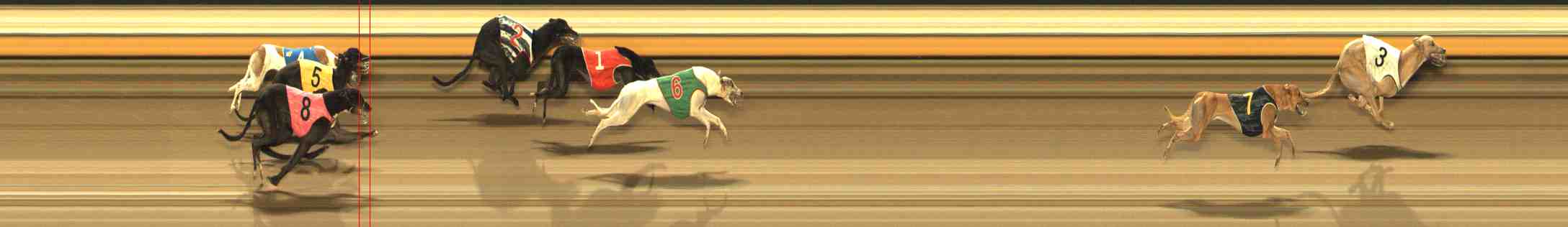Photo finish for Warrnambool Race 11