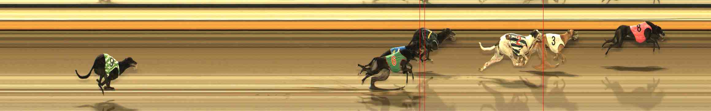 Photo finish for Warrnambool Race 13