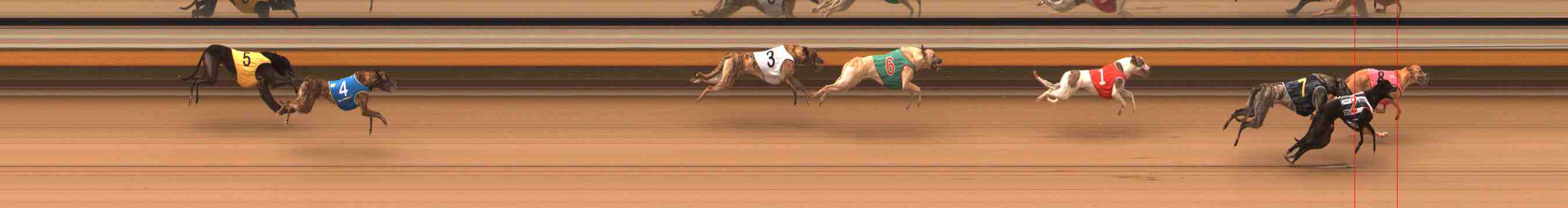 Photo finish for Warrnambool Race 2