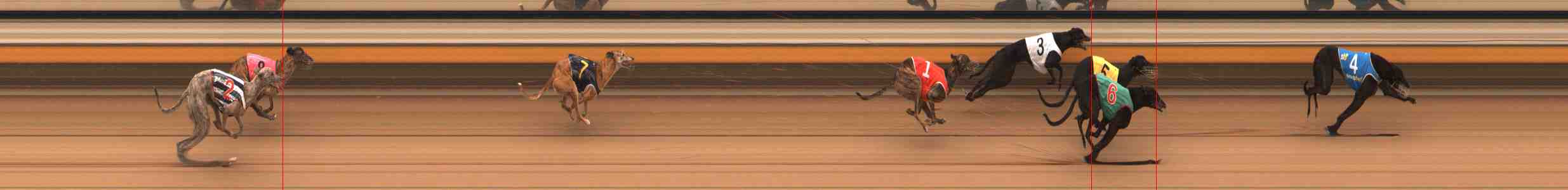 Photo finish for Warrnambool Race 3