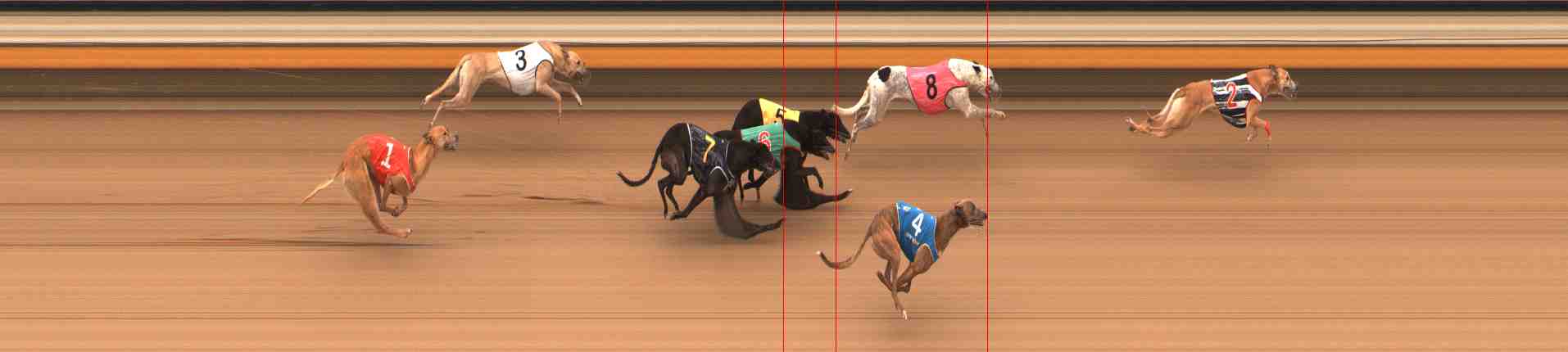 Photo finish for Warrnambool Race 5