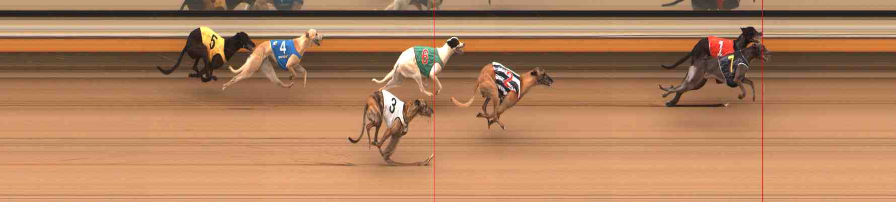 Photo finish for Warrnambool Race 6