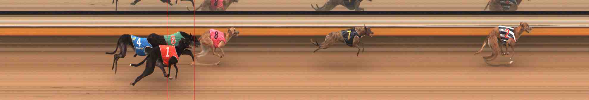 Photo finish for Warrnambool Race 7