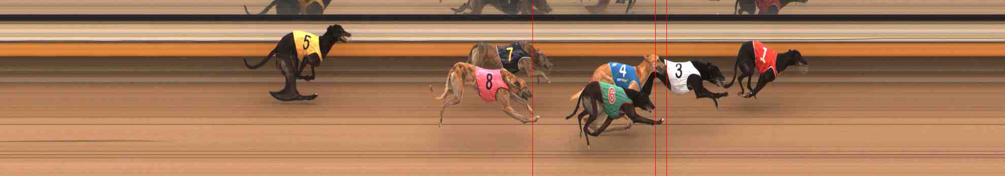 Photo finish for Warrnambool Race 8