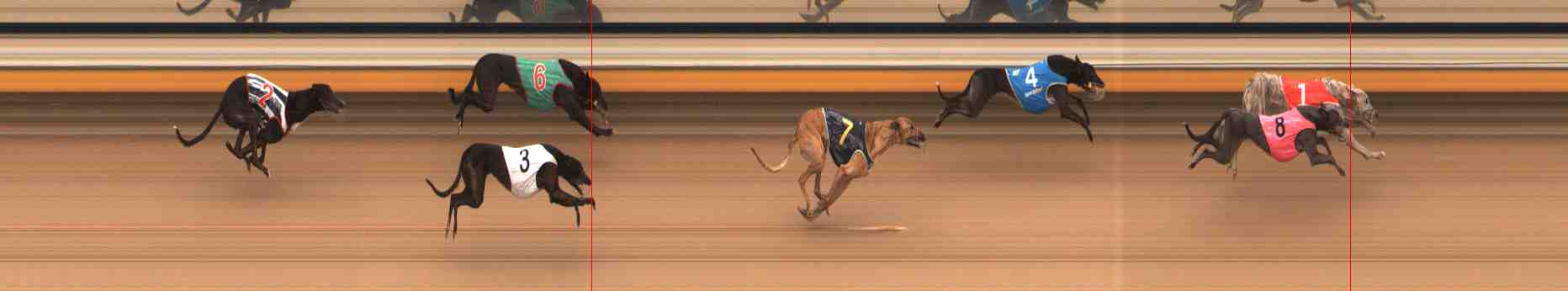 Photo finish for Warrnambool Race 9