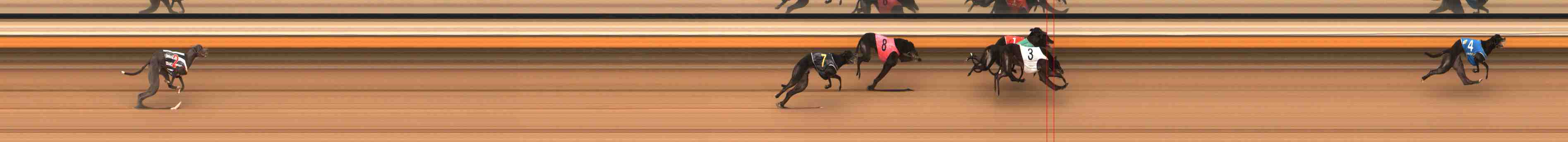 Photo finish for Warrnambool Race 10