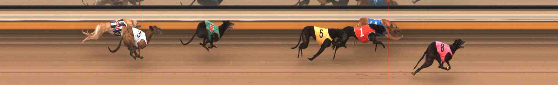 Photo finish for Warrnambool Race 11