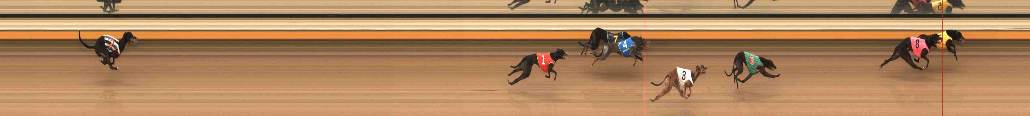 Photo finish for Warrnambool Race 12