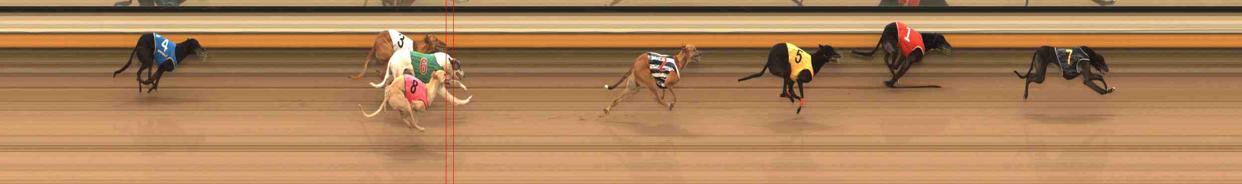 Photo finish for Warrnambool Race 13