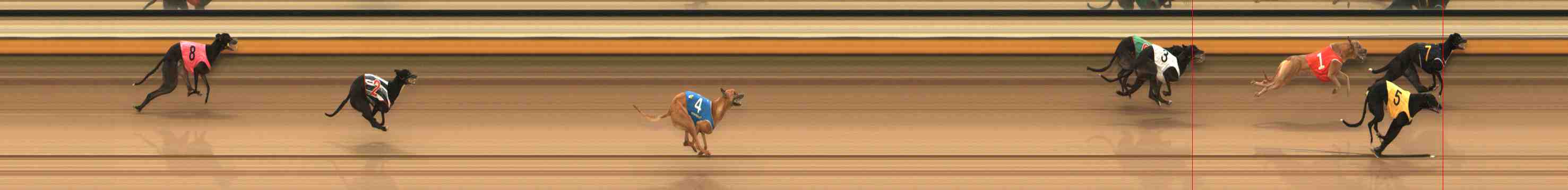 Race result finish photo