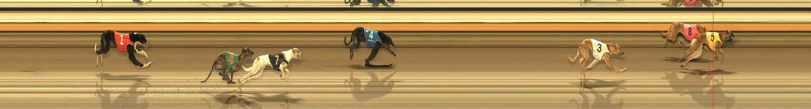 Race result finish photo