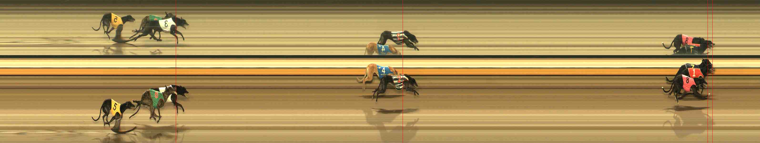 Race result finish photo