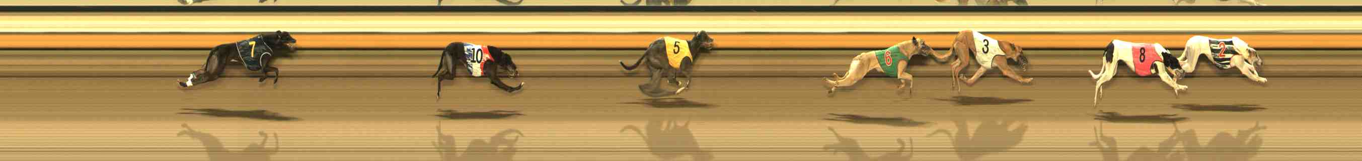 Race result finish photo