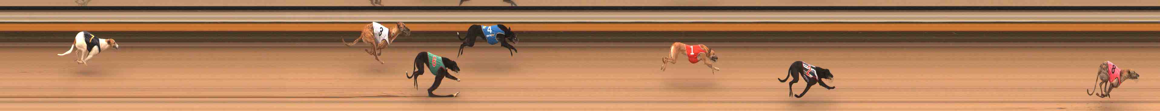 Race result finish photo