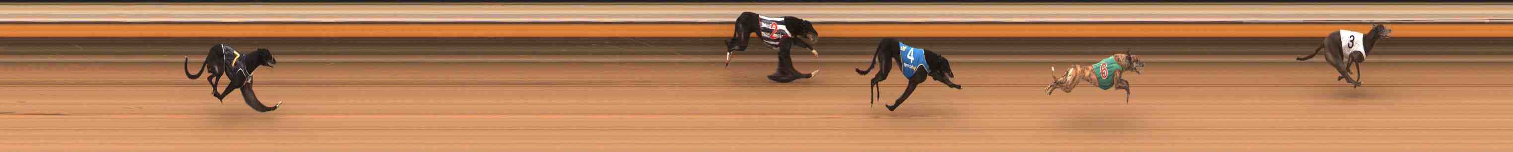 Race result finish photo