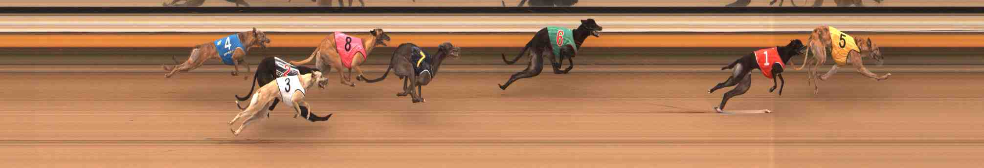 Race result finish photo