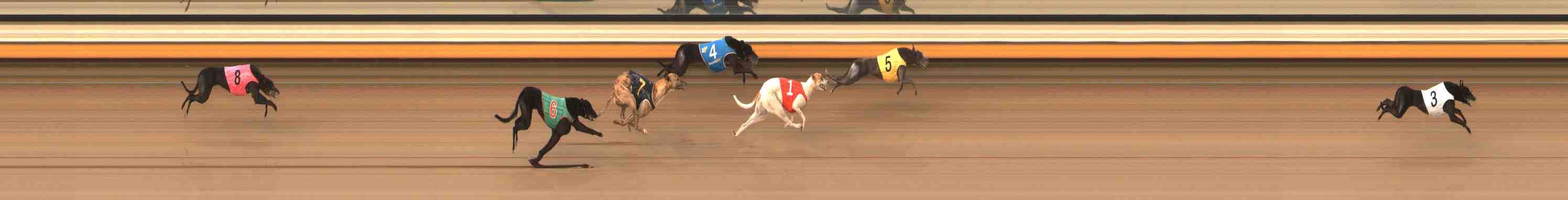 Race result finish photo