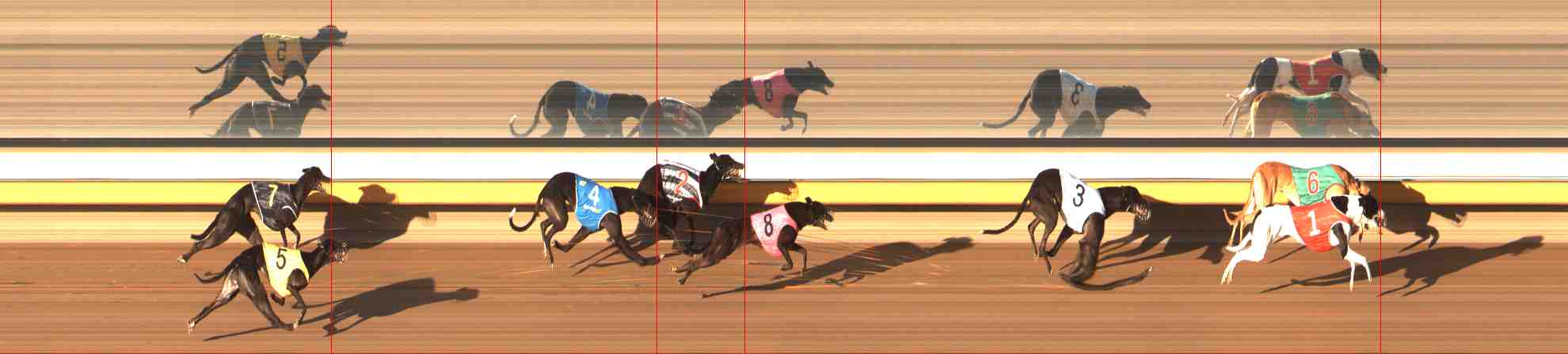 Photo finish for Warrnambool Race 5