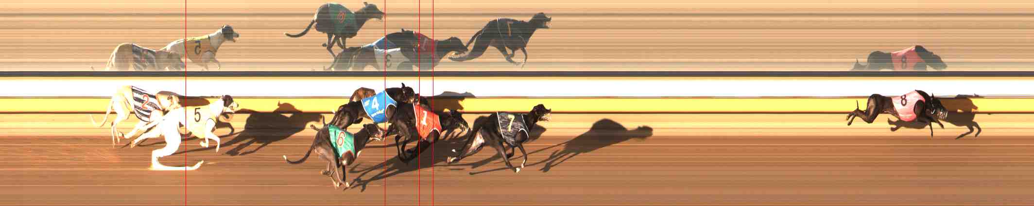 Photo finish for Warrnambool Race 6