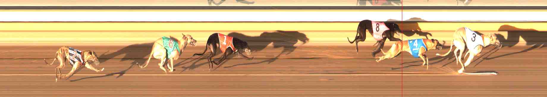 Photo finish for Warrnambool Race 7
