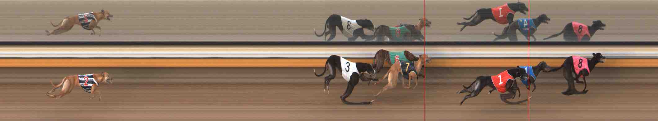 Photo finish for Warrnambool Race 8
