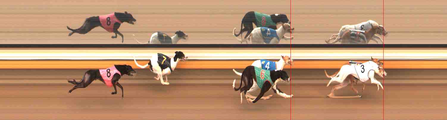 Photo finish for Warrnambool Race 9