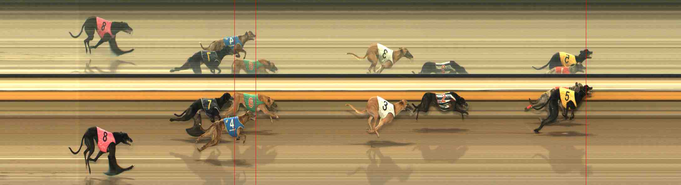 Photo finish for Warrnambool Race 10