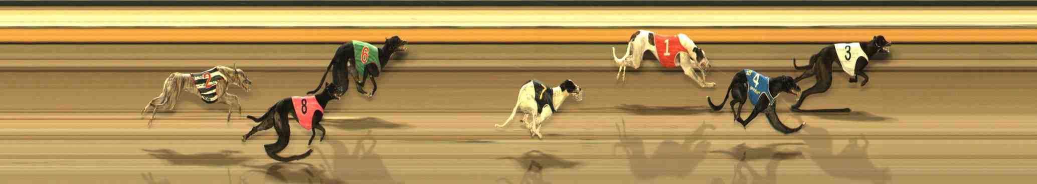 Photo finish for Warrnambool Race 12