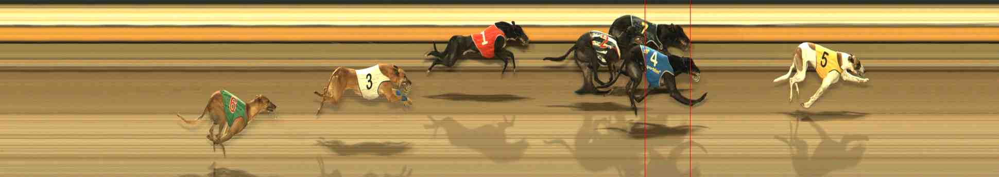 Photo finish for Warrnambool Race 13