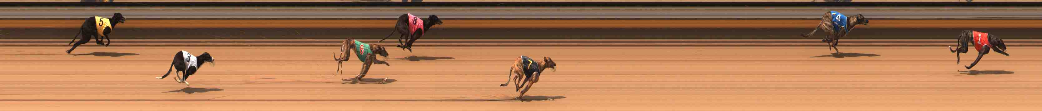 Photo finish for Warrnambool Race 2
