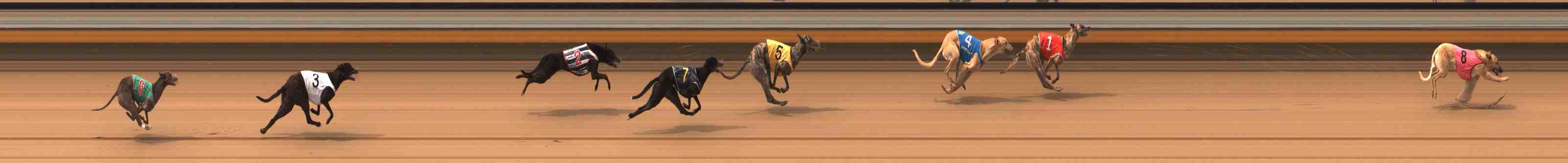 Photo finish for Warrnambool Race 3