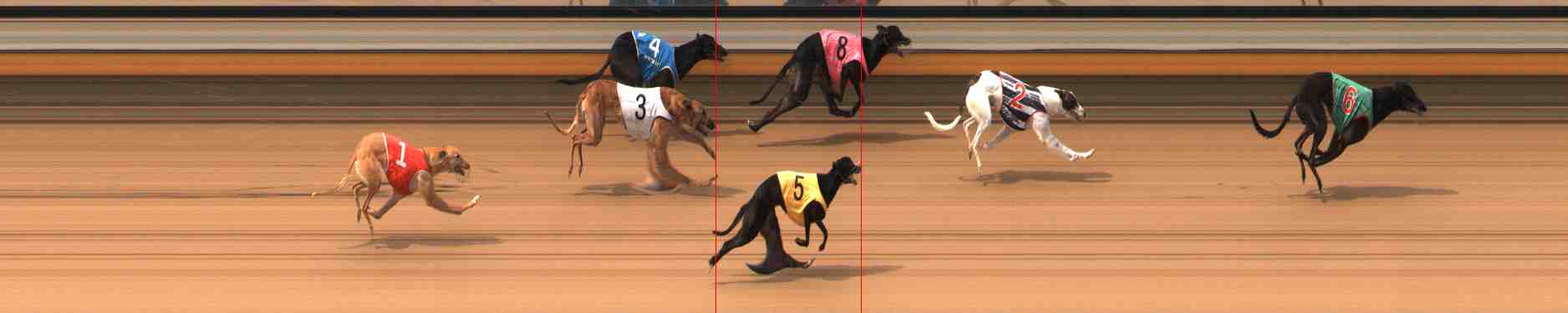 Photo finish for Warrnambool Race 4
