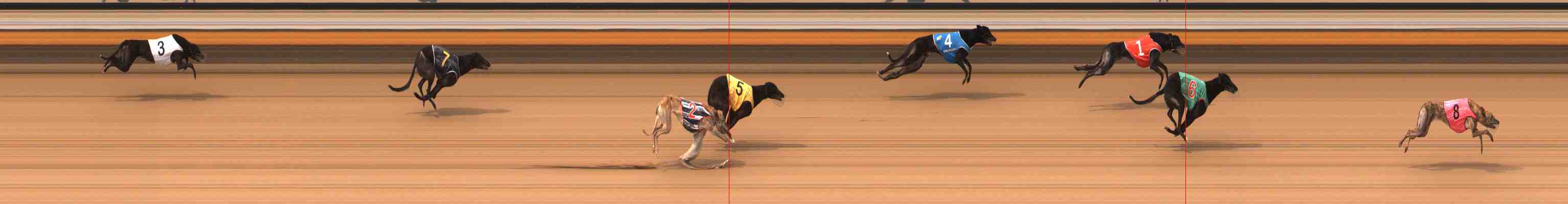 Photo finish for Warrnambool Race 5